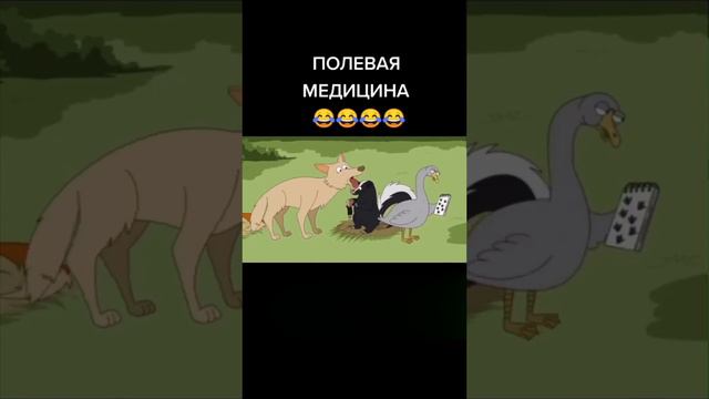 медицина в лесу