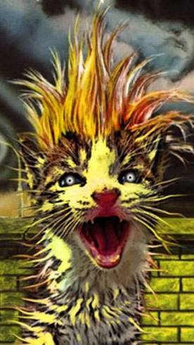Iron Maiden Be Quick Or Be Cat