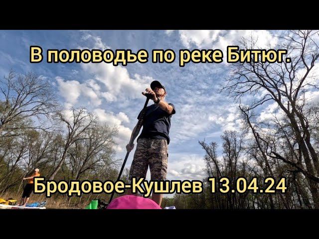 Апрельский сапсерфинг на реке Битюг в половодье. Бродовое - Кушлев. 13.04.24