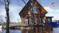 Быстрее, выше, крепче