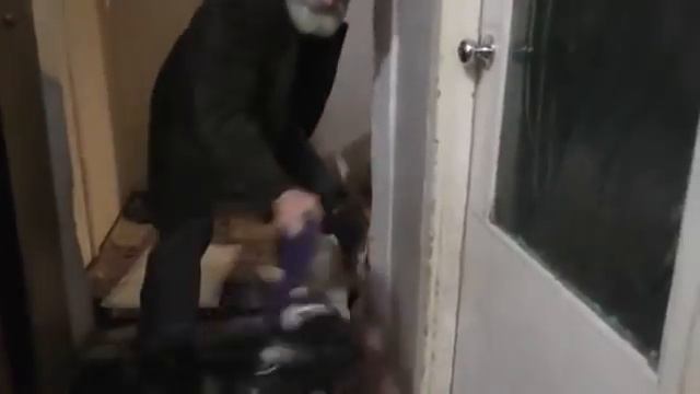 05. 01. 2019.  Василий играет со щенками.