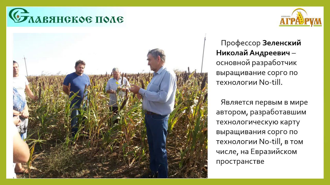 Запись вебинара "Корма из зерна и зелёной массы сорго" 19 февраля 2021
