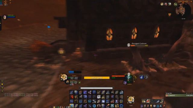 WoW Classic | Baroness Anastari Hunter solo