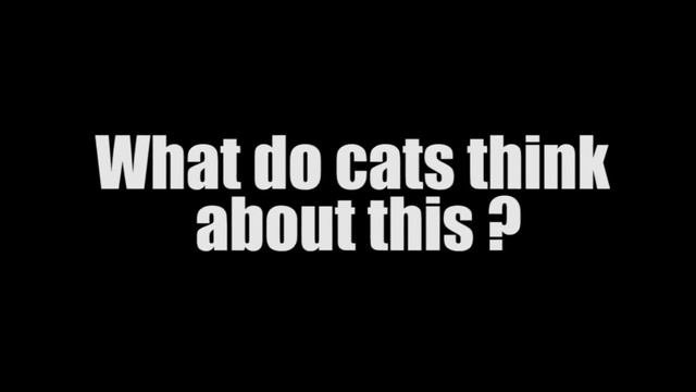 Is The Cat Going Up Or Down The Stairs? Solved