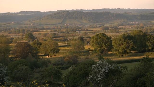 Rural Glastonbury, early June 2013