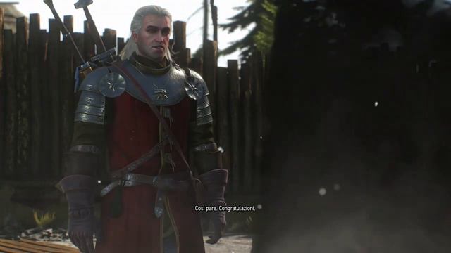I let myself be defeated for a good cause (The Witcher 3: Wild Hunt)