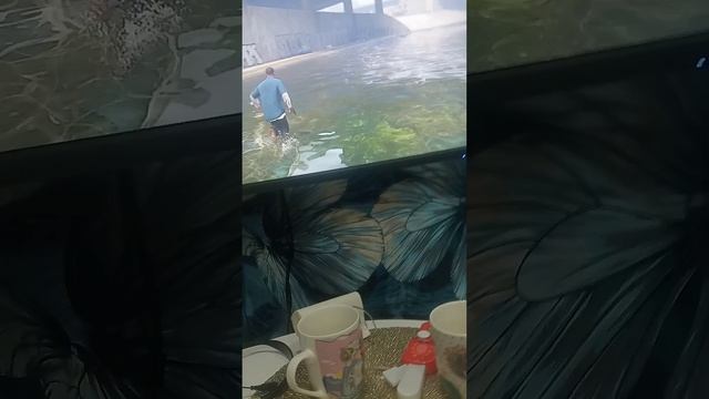 угон.mp4