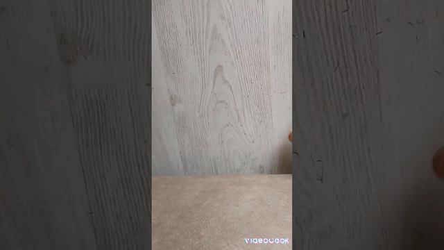 кошачья рыбалка