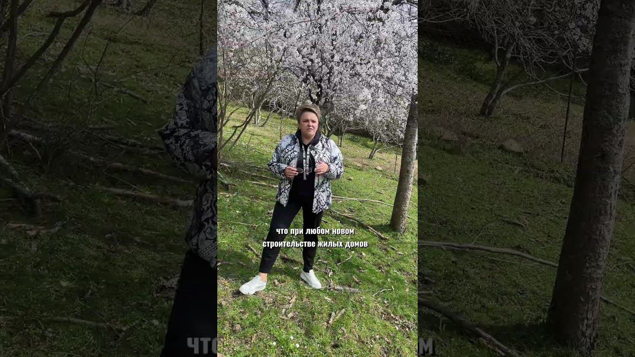 Дачная амнистия  #инвестициивсочи #домвсочи #загороднаянедвижимость #земельныйюрист #землявсочи