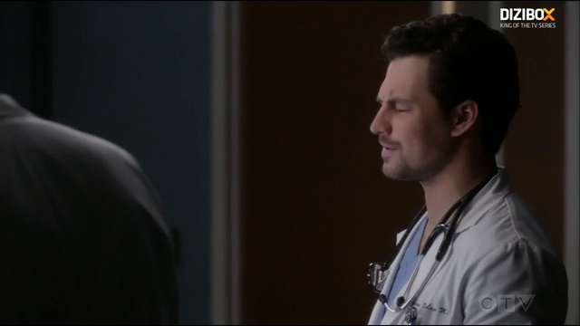 Greys1517