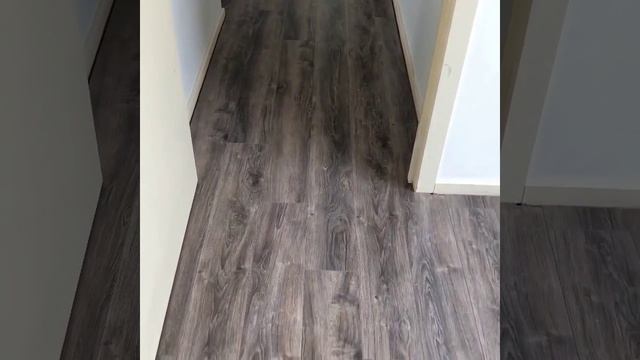 TNF- ASH GREY INSTALLATION