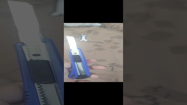 обнова у жаб