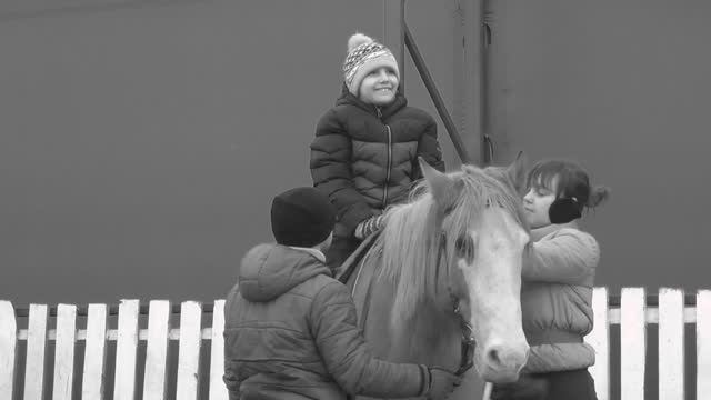 modern promo hippotherapy | sunvale_ecocenter
