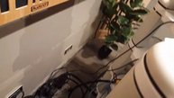 Conectando el nuevo sistema de audio