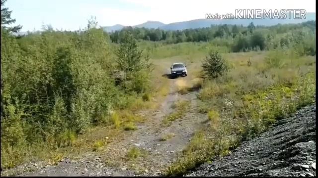 Toyota Vista SV40 тоже внедорожник )