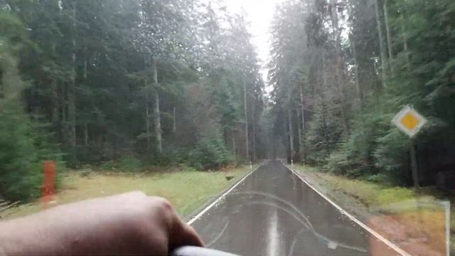 Супер дремучий лес Германии