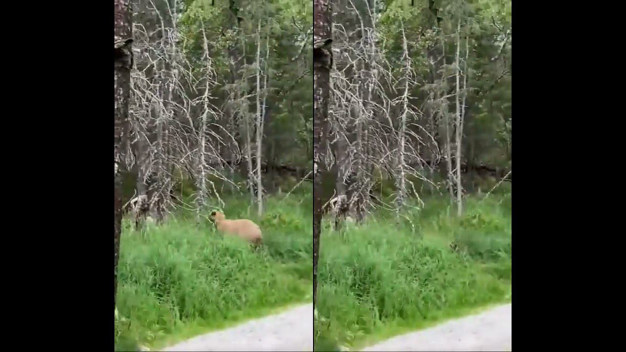 "Вырезаем" ненужные объекты на видео