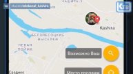 ПРИЛОЖЕНИЕ ДЛЯ ПОИСКА ДОМАШНИХ ЖИВОТНЫХ