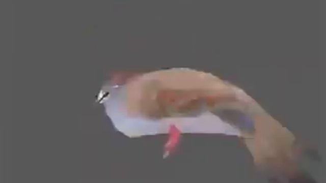 Голубь флексит ( Мем в один клик )