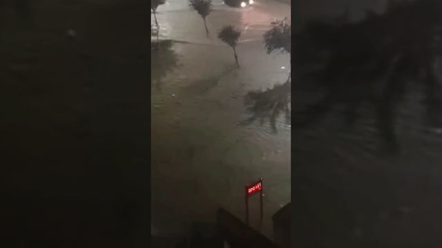 🇬🇪Поваленные деревья и затопленные улицы: сильный дождь обрушился на Тбилиси в ночь на 7 июля