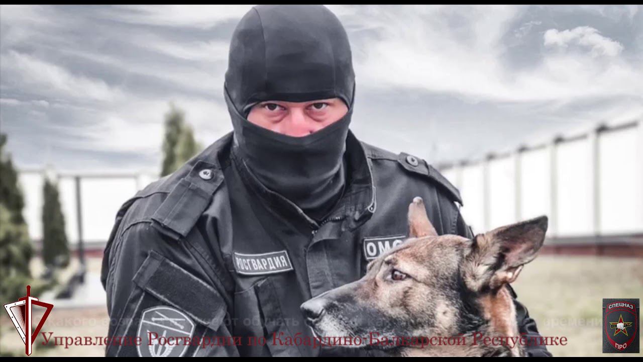 Видеоинтервью с кинологом ОМОН "Вершина" Управления Росгвардии по КБР