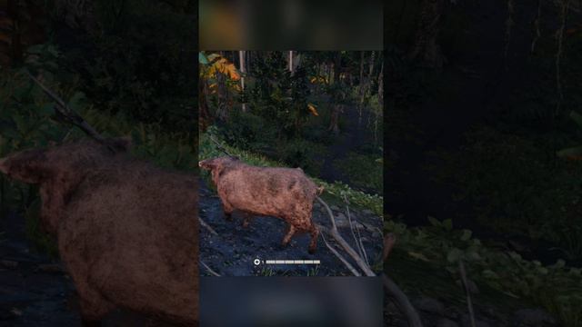 #farcry6 #farcry ХрЮШа занимается гимнастикой