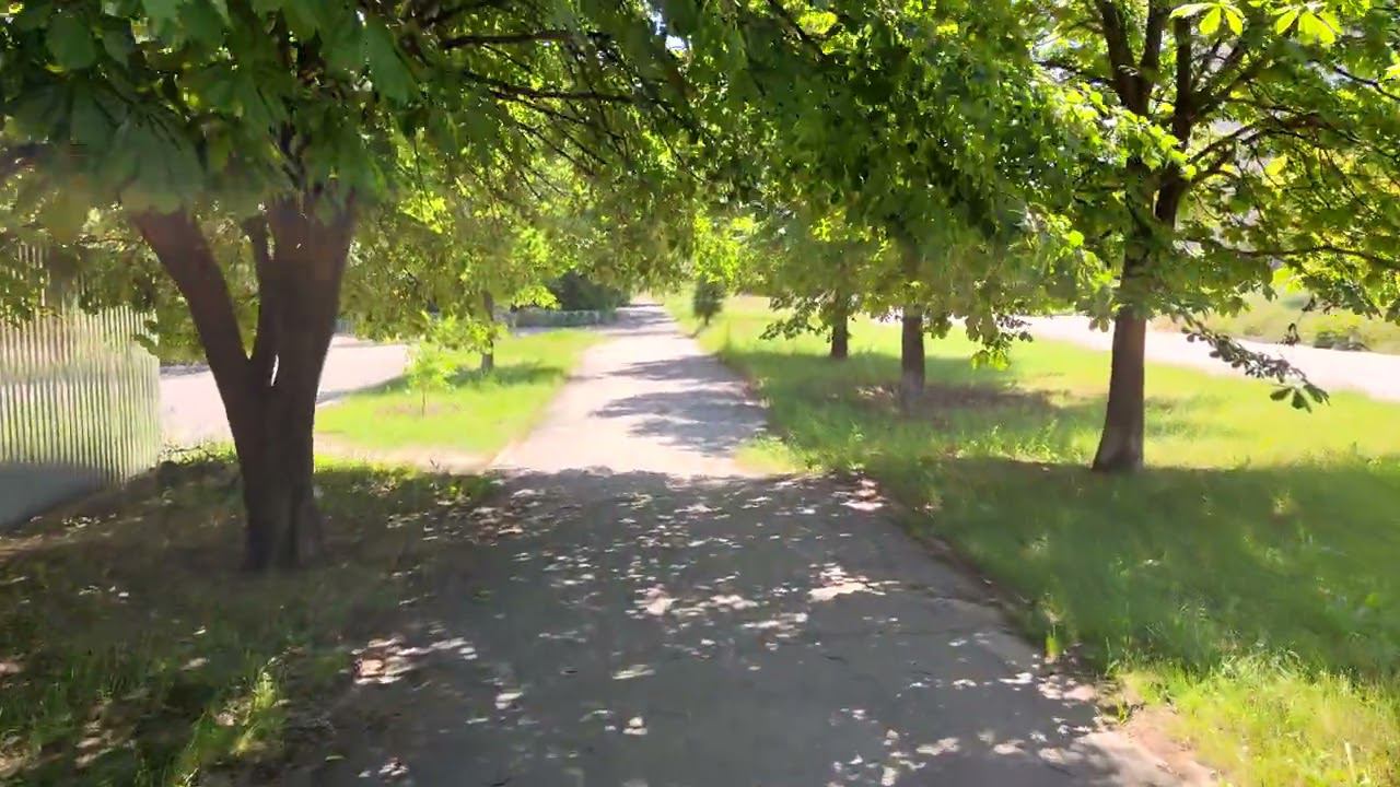 VID 20230605 135636