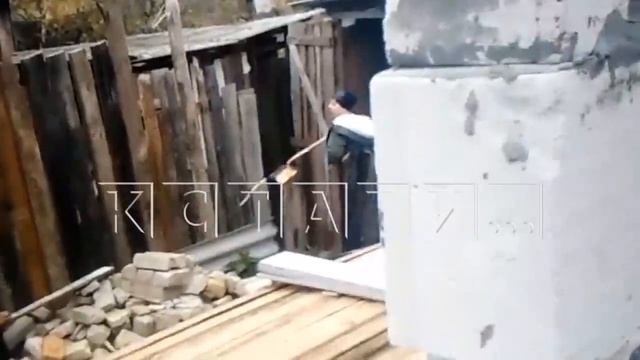 Многодетная мать взяла бензопилу и палку, стала пилить заборы и крушить дома соседей