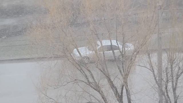 Волгодонск. Снегопад 24 марта.