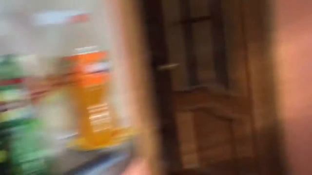 VLOG:  НА Д/Р У ЖЕНЬКИ// СРЕДИ НАС ЕСТЬ ДИНОЗАВР?!// КАТАЕМСЯ НА ГИРОСКУТЕРЕ ПО СНЕГУ?!