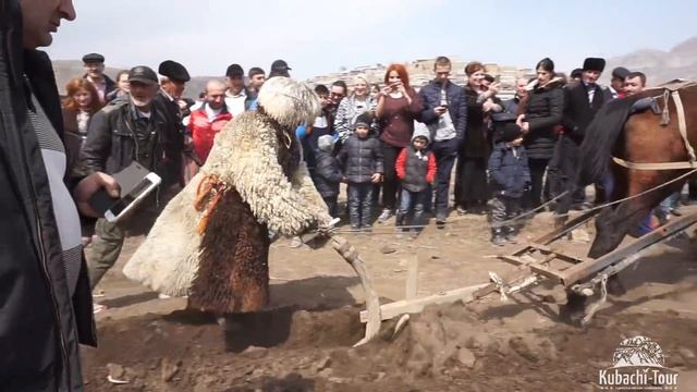 День первой борозды - Балхар.  "Кубачи-Тур"