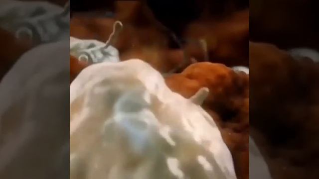 Белые кровяные тельца уничтожают сперматозоидов