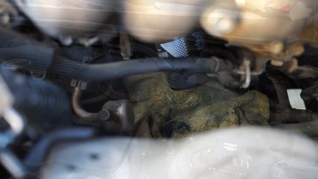 Lexus IS300 Oil Change | Quick & Simple How To