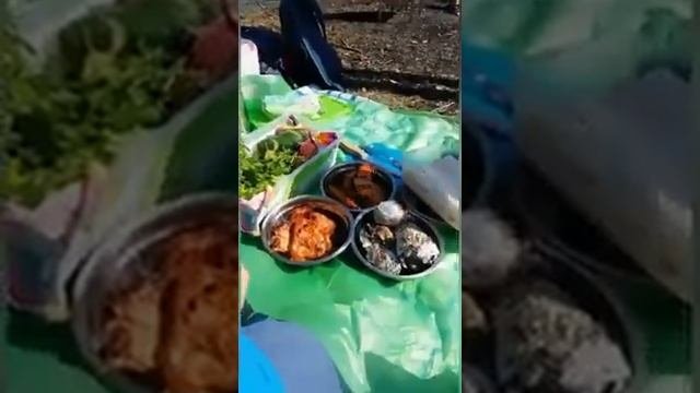 Барбекю-гриль-мангал-коптильня - духовка