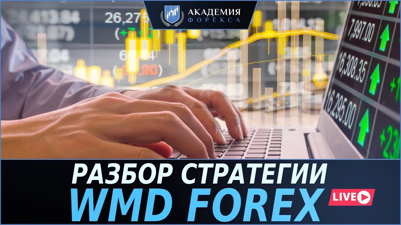 Разбор стратегии WMD Forex | На что способна стратегия за £5.495? | Академия Форекса