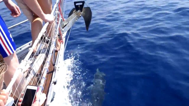 Naxos & Small Cyclades Sailing Tours - sailing - 05
