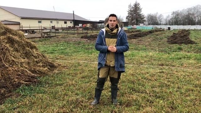 Навоз в сельском хозяйстве | Навоз: как правильно применять