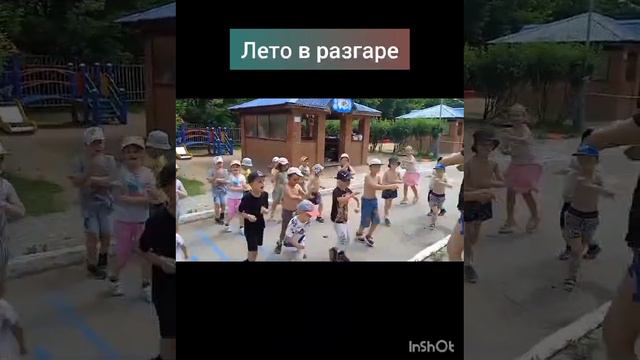 Лето в разгаре