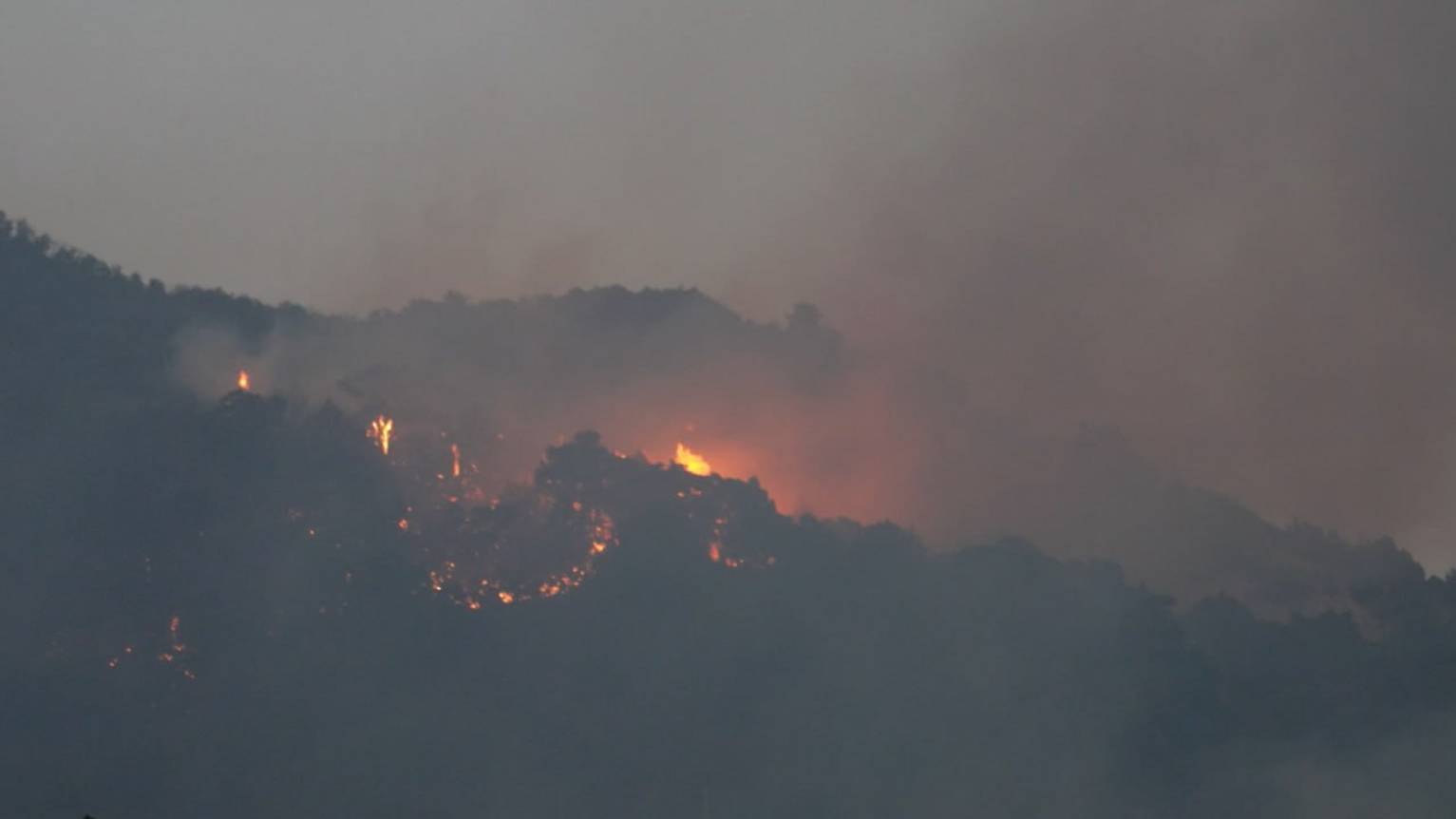 С начала года 30 лесных пожаров зафиксировали в Краснодарском крае
