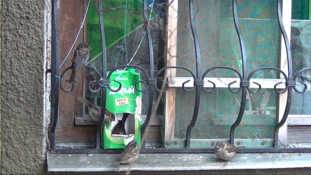 Живая очередь