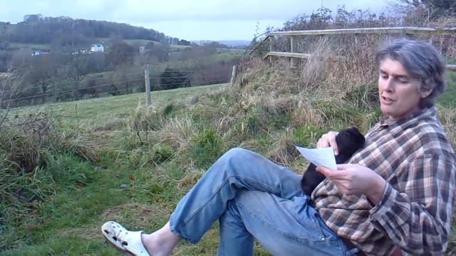 Shakespeare's Sonnet 116 with a pet rabbit, Let not the Marriage of true minds