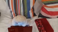 When a teddy met a netbook