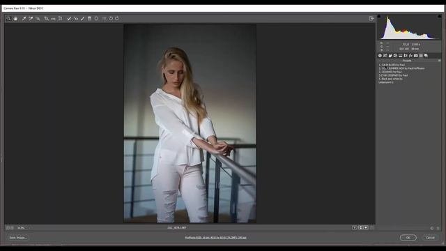 HOW TO IMPORT PRESETS TO LIGHTROOM  CAMERA RAW  CURVES PRESETS