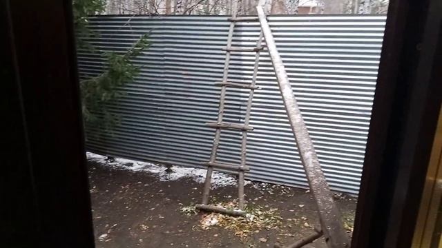толстенькое чудо