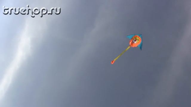 Воздушный змей Лев.