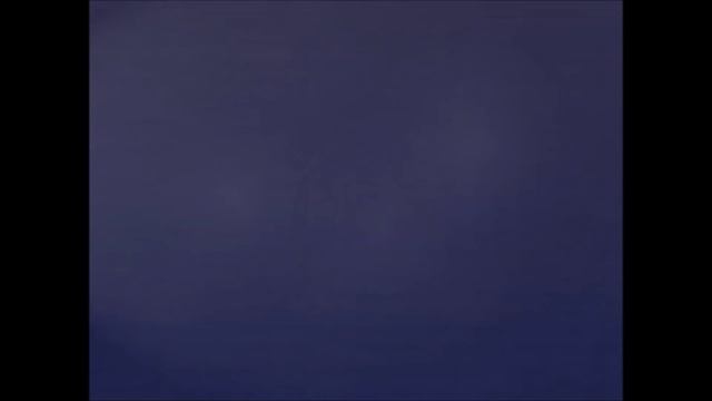 Буктрейлер Лапы вверх!