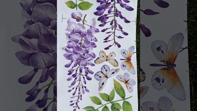 IS039 Вистерия