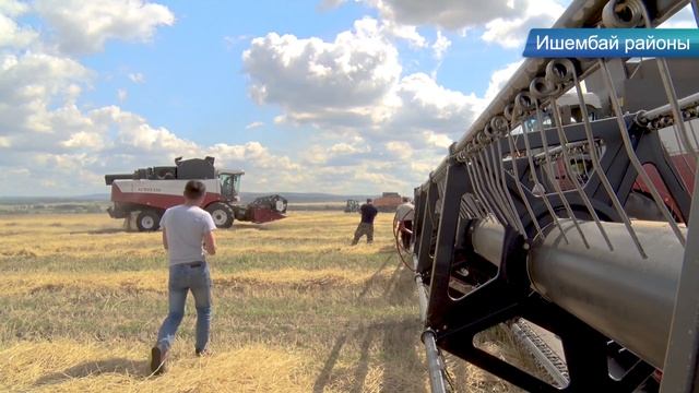 Ишембай яңылыҡтары: ауыл хужалығы, уңған хужабикә, юбиляр, Иҙел Нефтемаш.04.08.2021.
