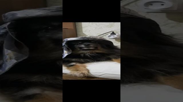 хочу познакомиться)))
наташа, где ты)))
