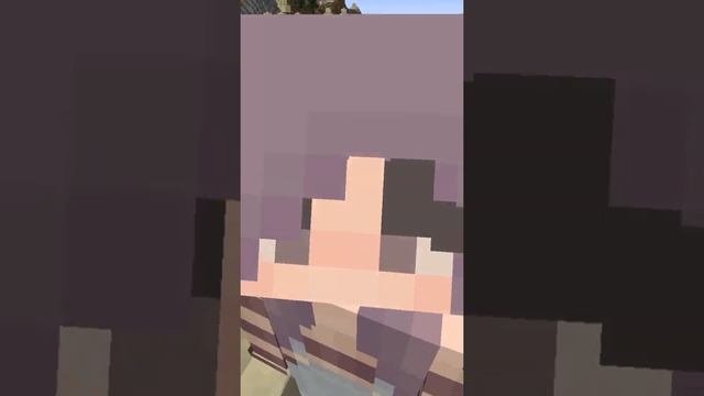 I Made Minecraft's Desert Well 1000% Better